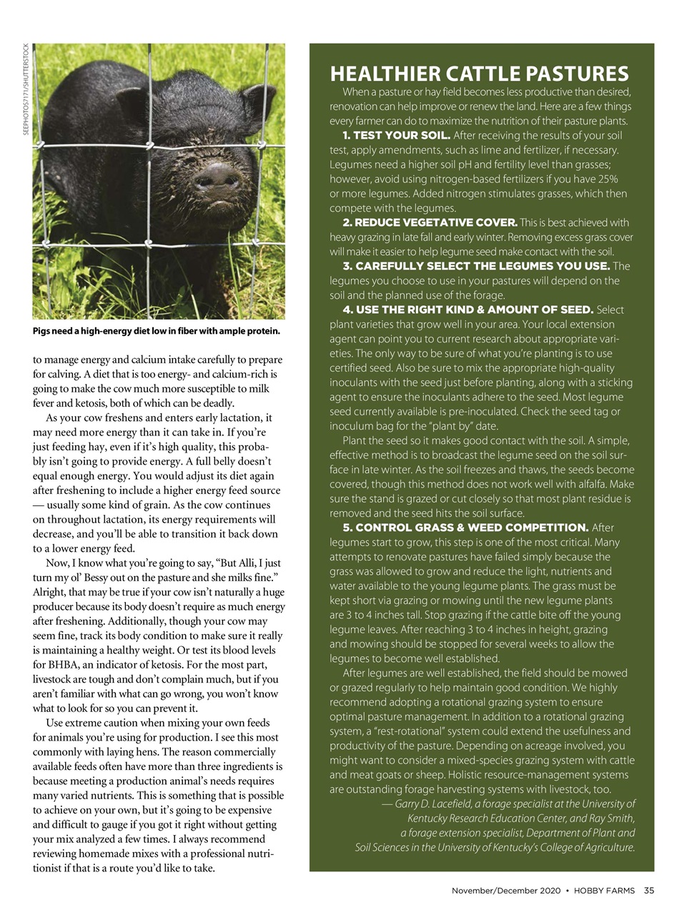 Hobby Farms Magazine Preview Pages