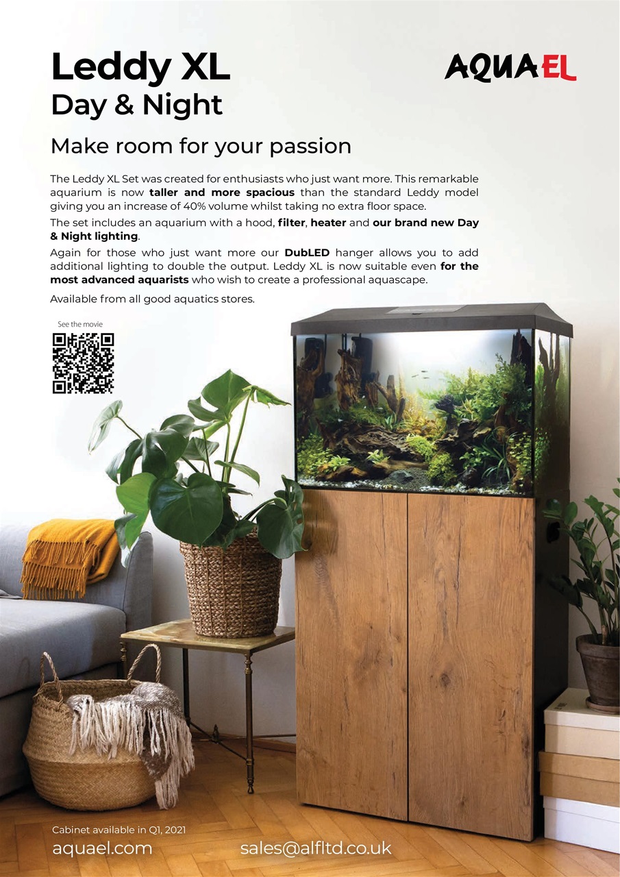 Practical Fishkeeping Preview Pages