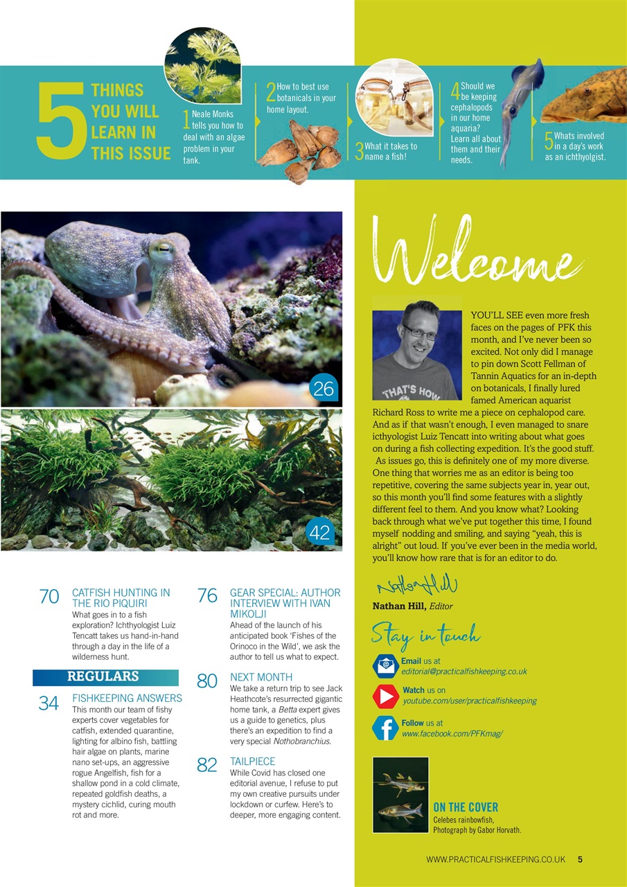 Practical Fishkeeping Preview Pages
