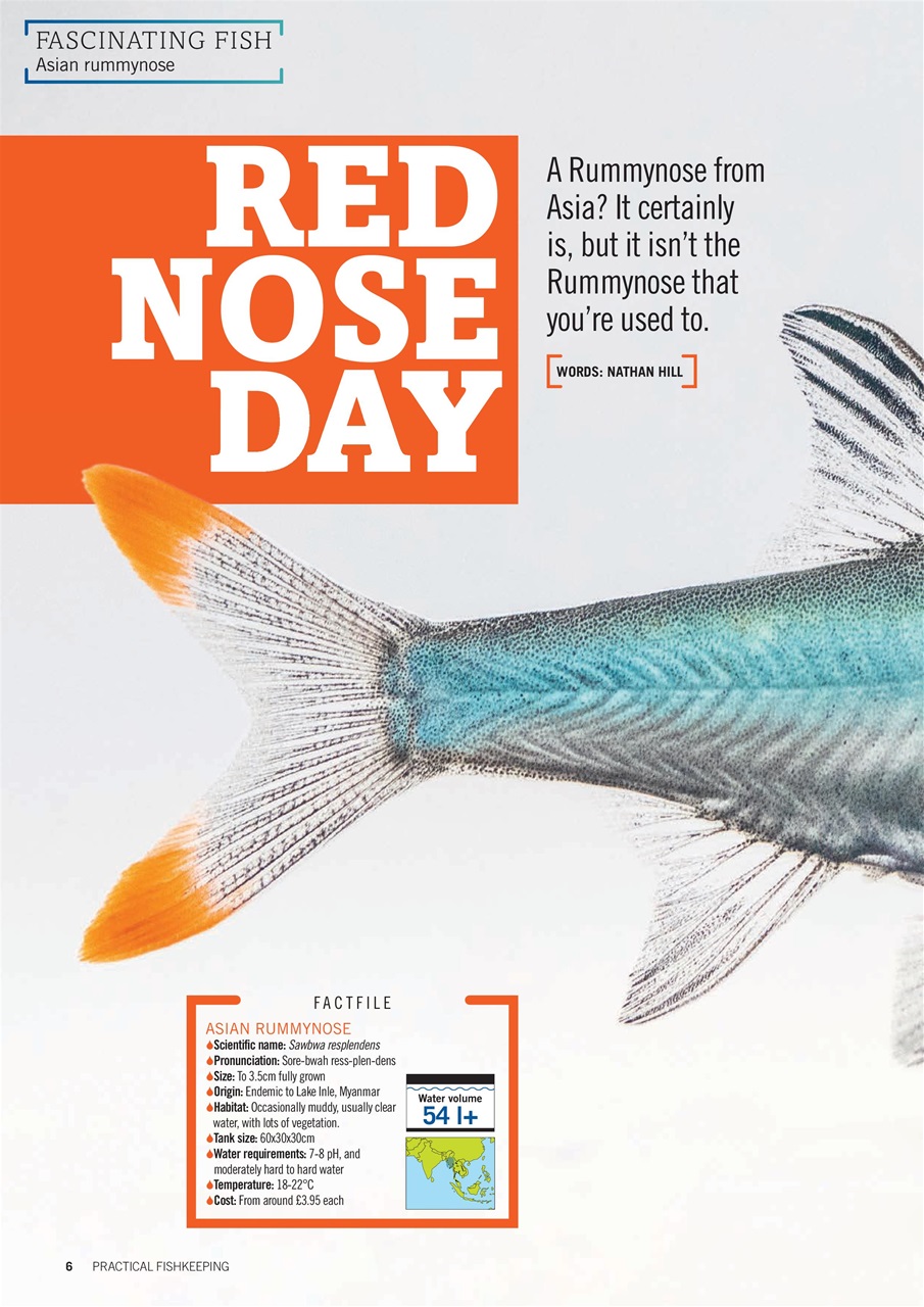 Practical Fishkeeping Preview Pages