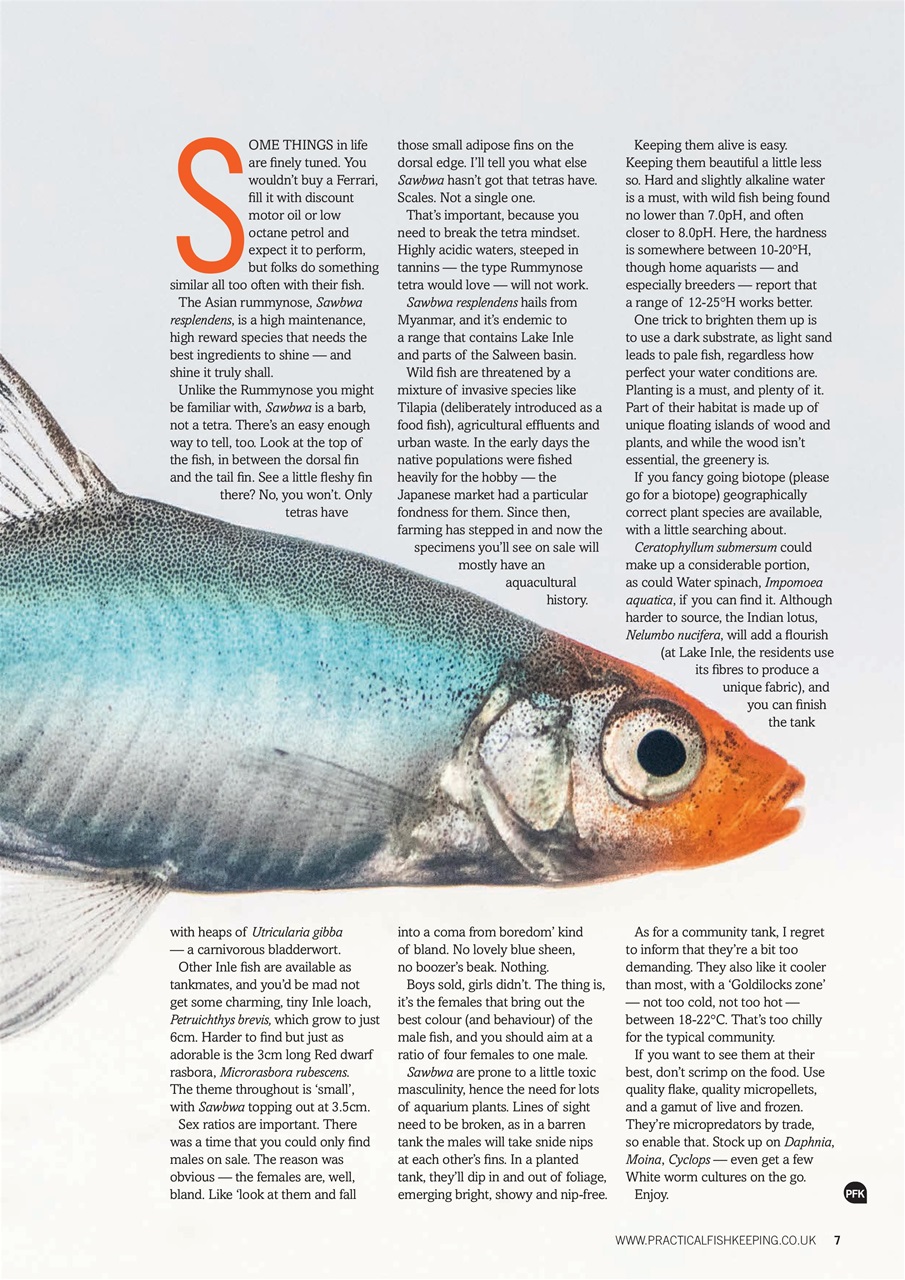 Practical Fishkeeping Preview Pages