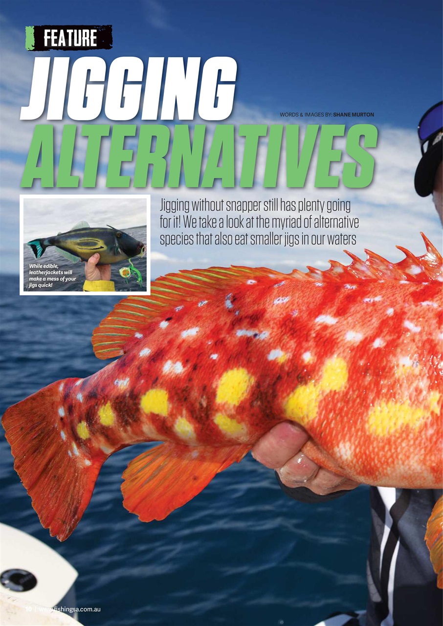 Fishing SA Preview Pages