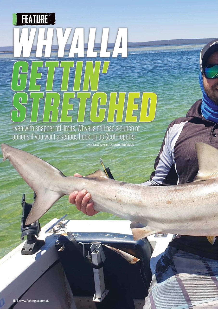Fishing SA Preview Pages