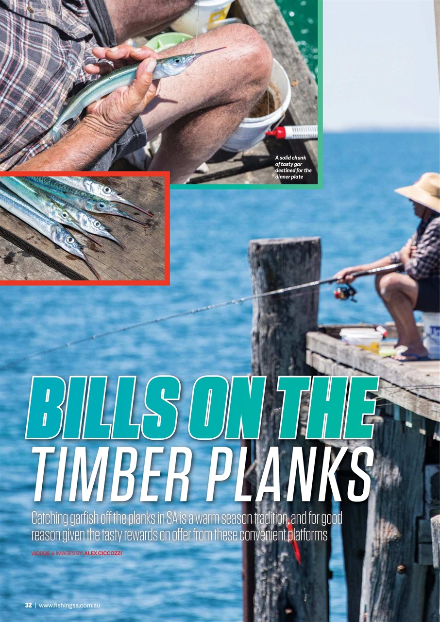 Fishing SA Preview Pages