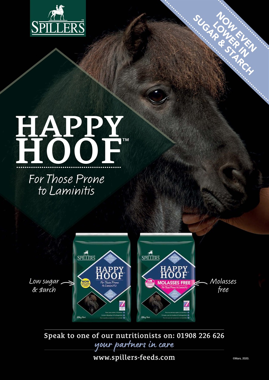 Your Horse Preview Pages