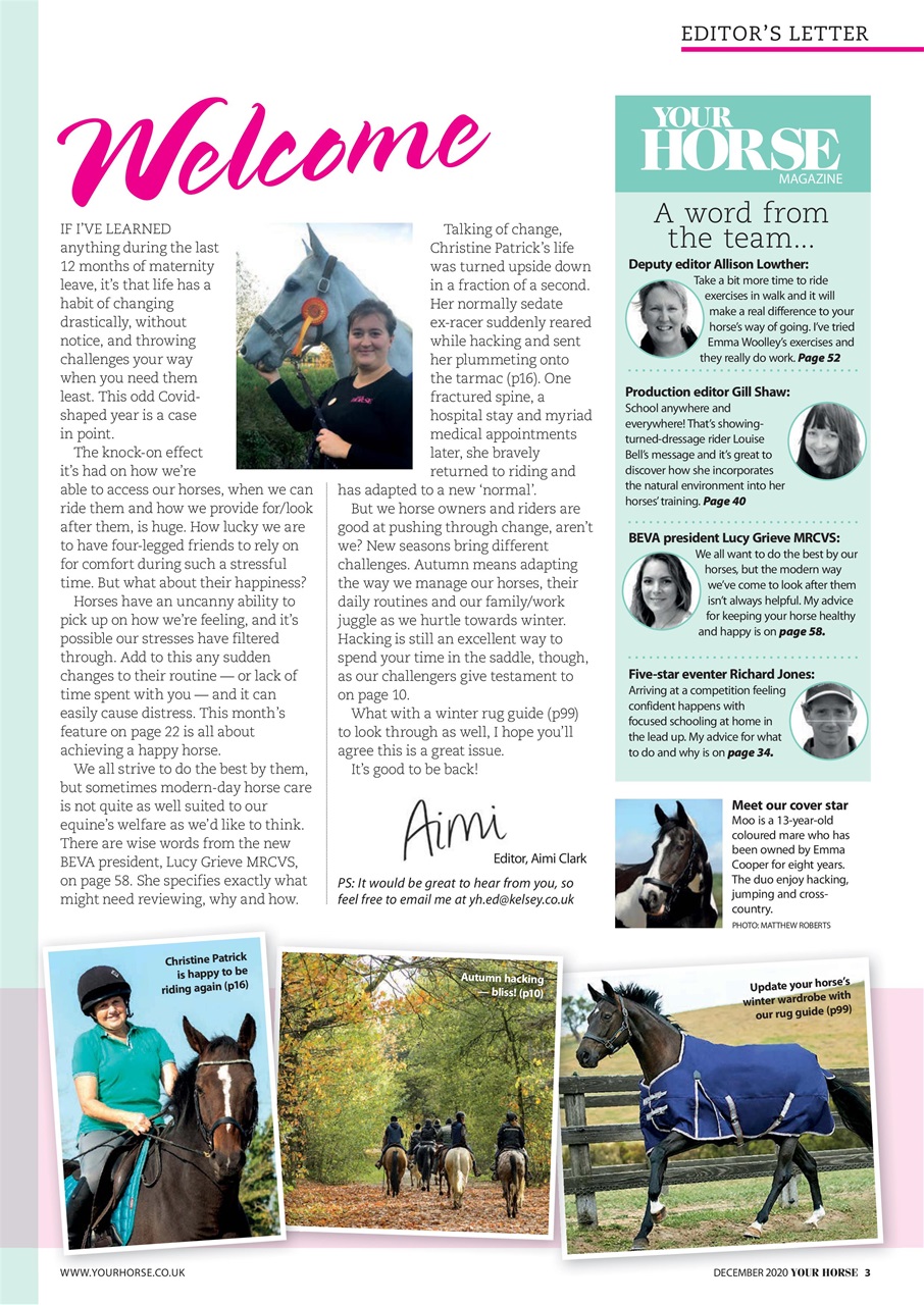 Your Horse Preview Pages