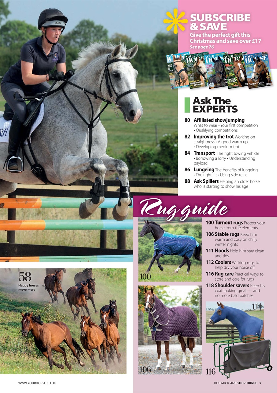 Your Horse Preview Pages