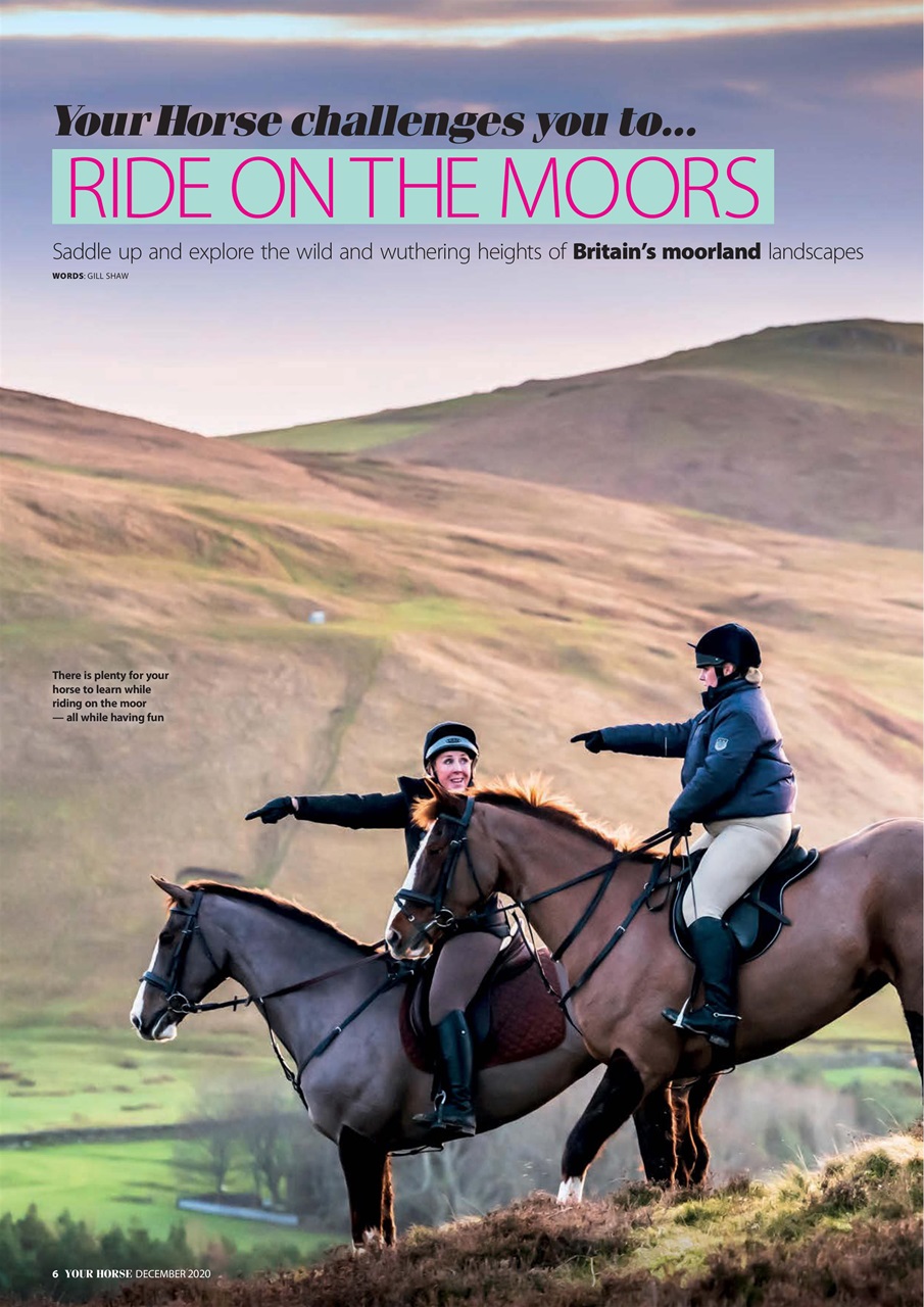 Your Horse Preview Pages