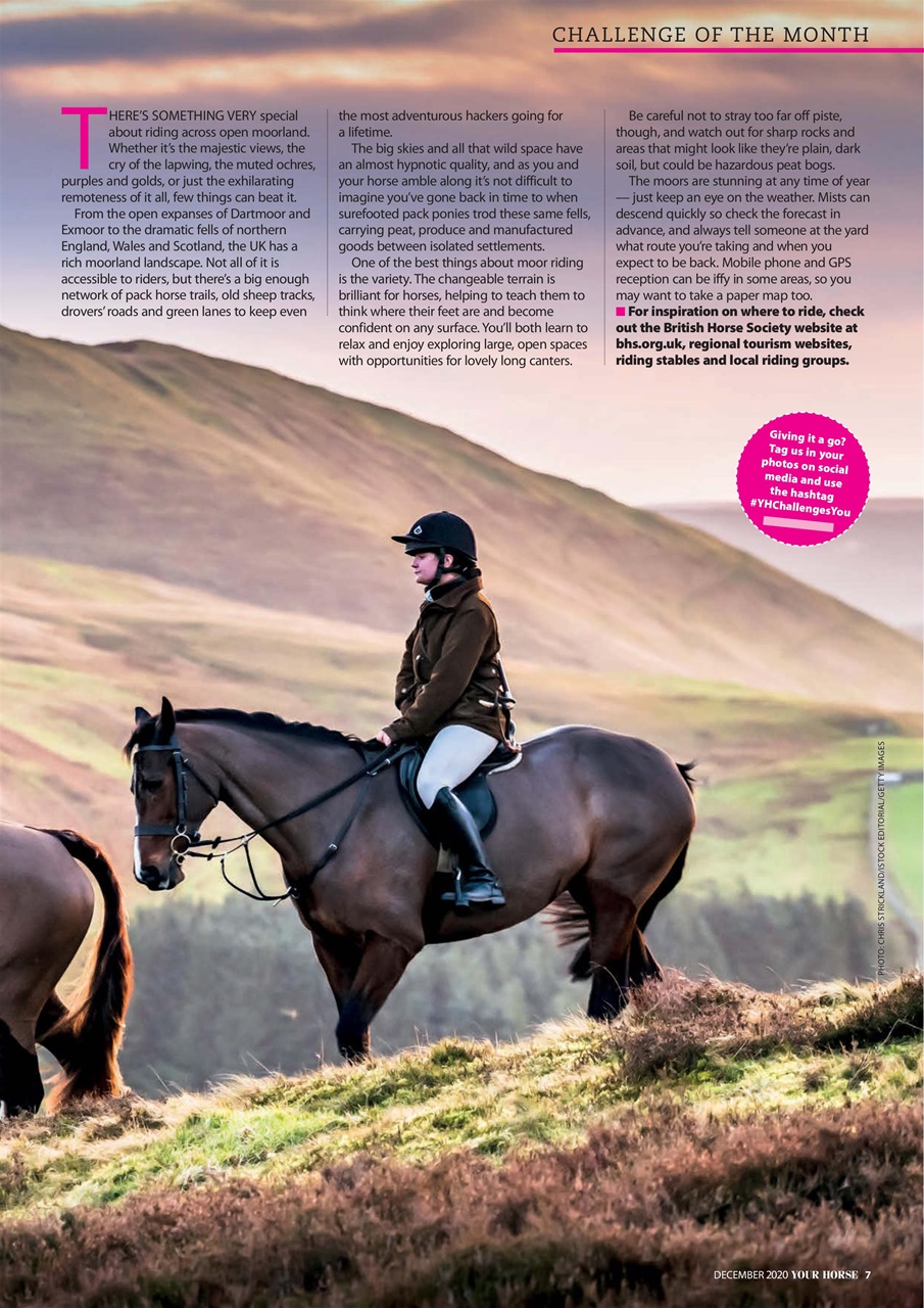 Your Horse Preview Pages