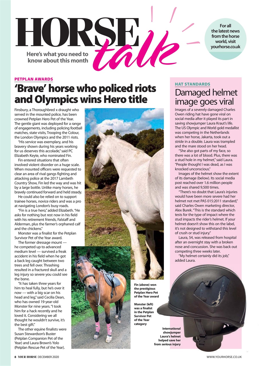 Your Horse Preview Pages