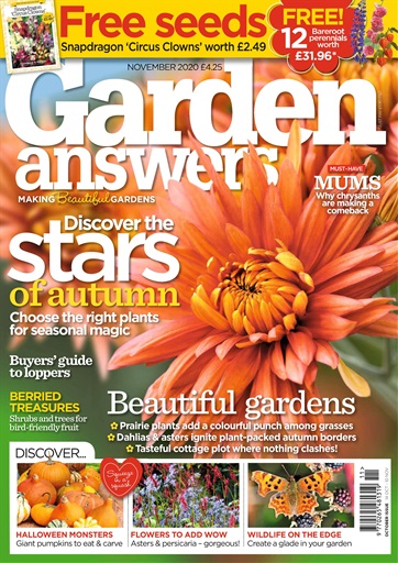 Garden Answers issue 