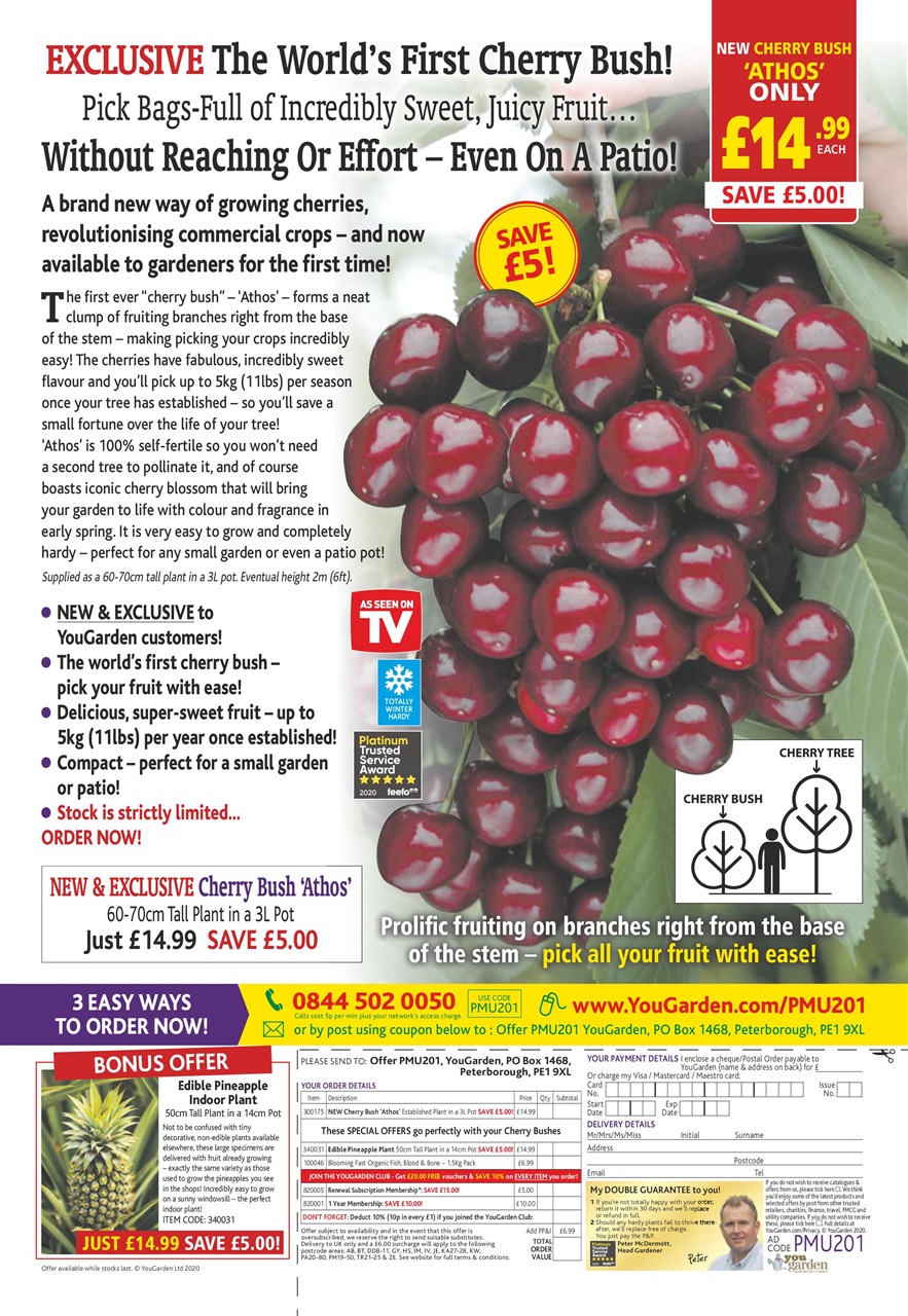 Pick Me Up Preview Pages