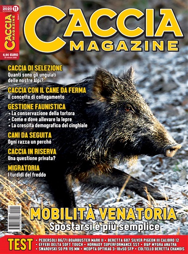 Caccia Magazine issue 