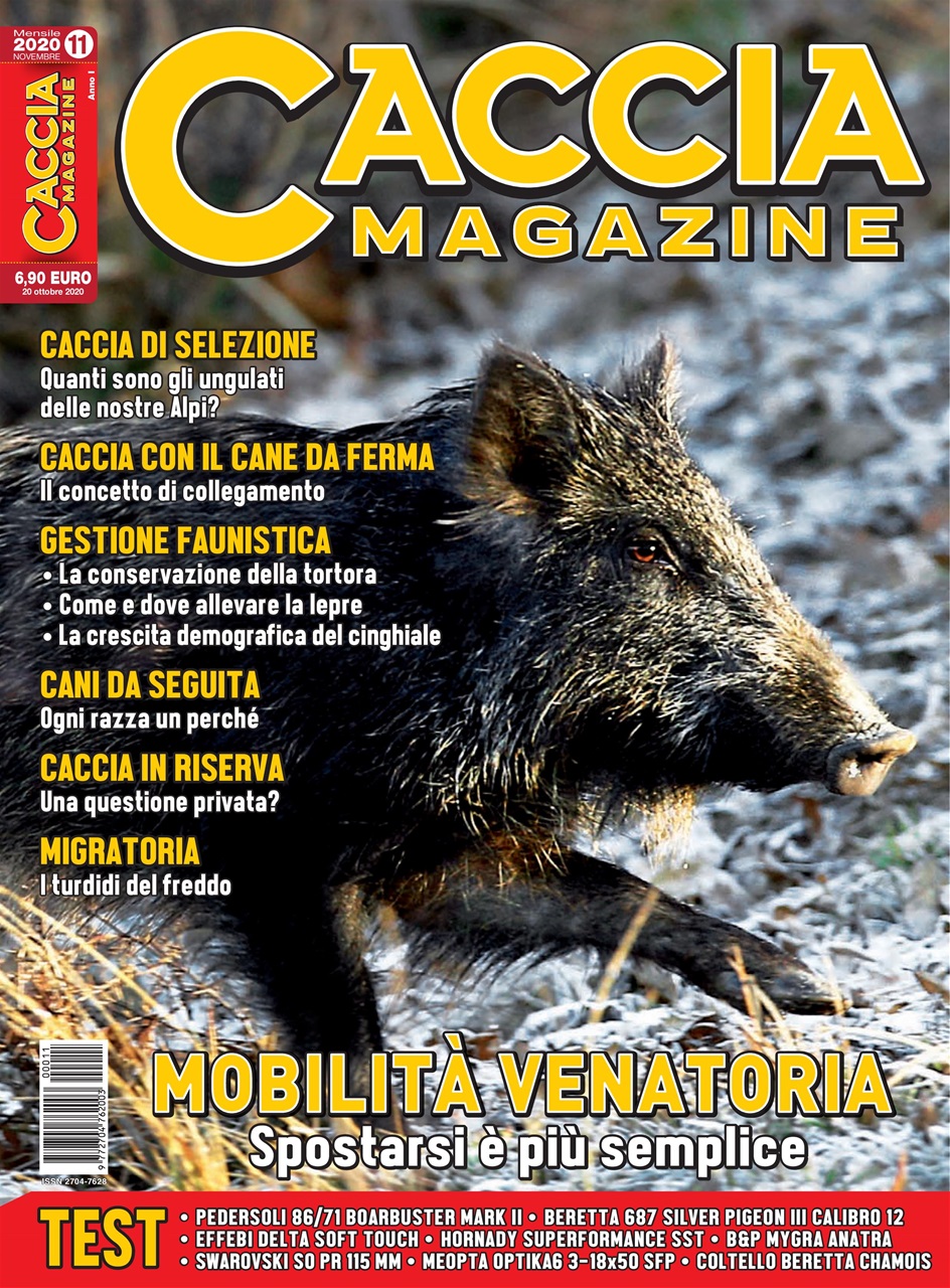Caccia Magazine Preview Pages