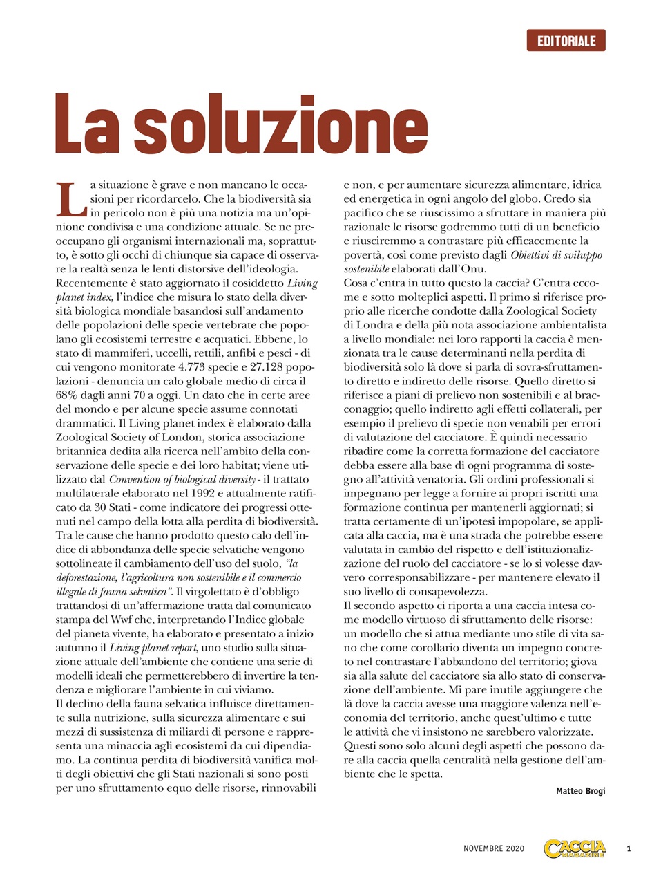 Caccia Magazine Preview Pages