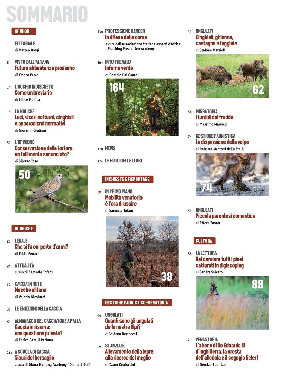 Caccia Magazine Preview Pages