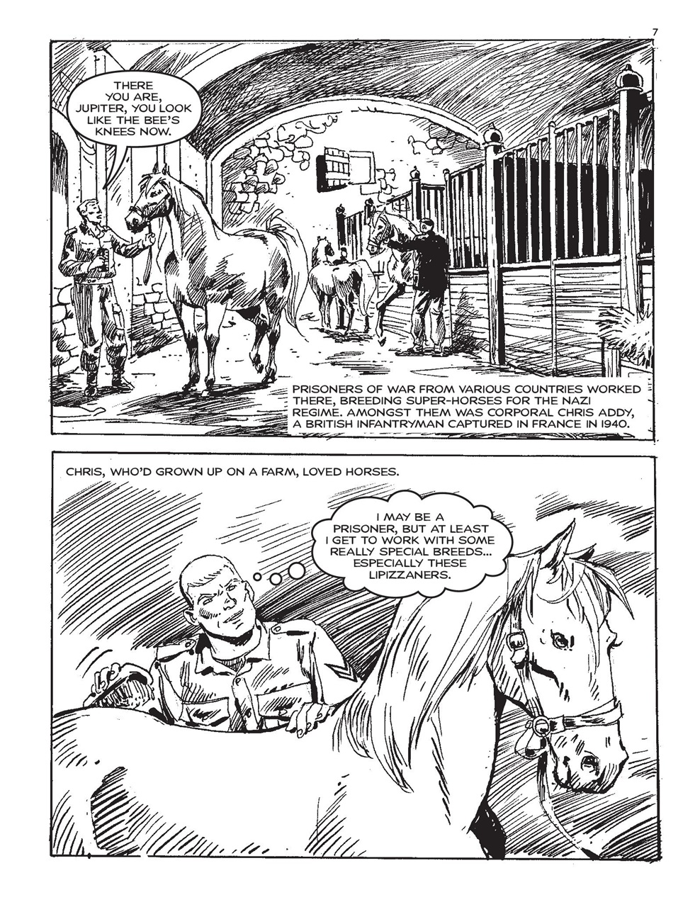 Commando Preview Pages