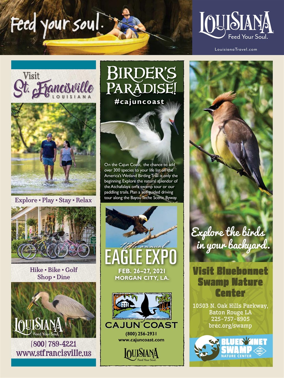 BirdWatching Preview Pages