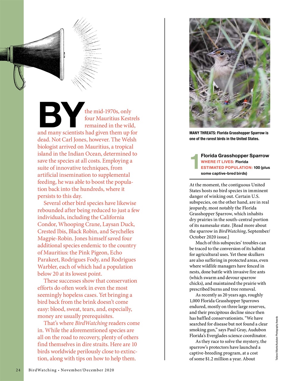 BirdWatching Preview Pages