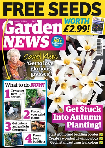 Garden News issue 