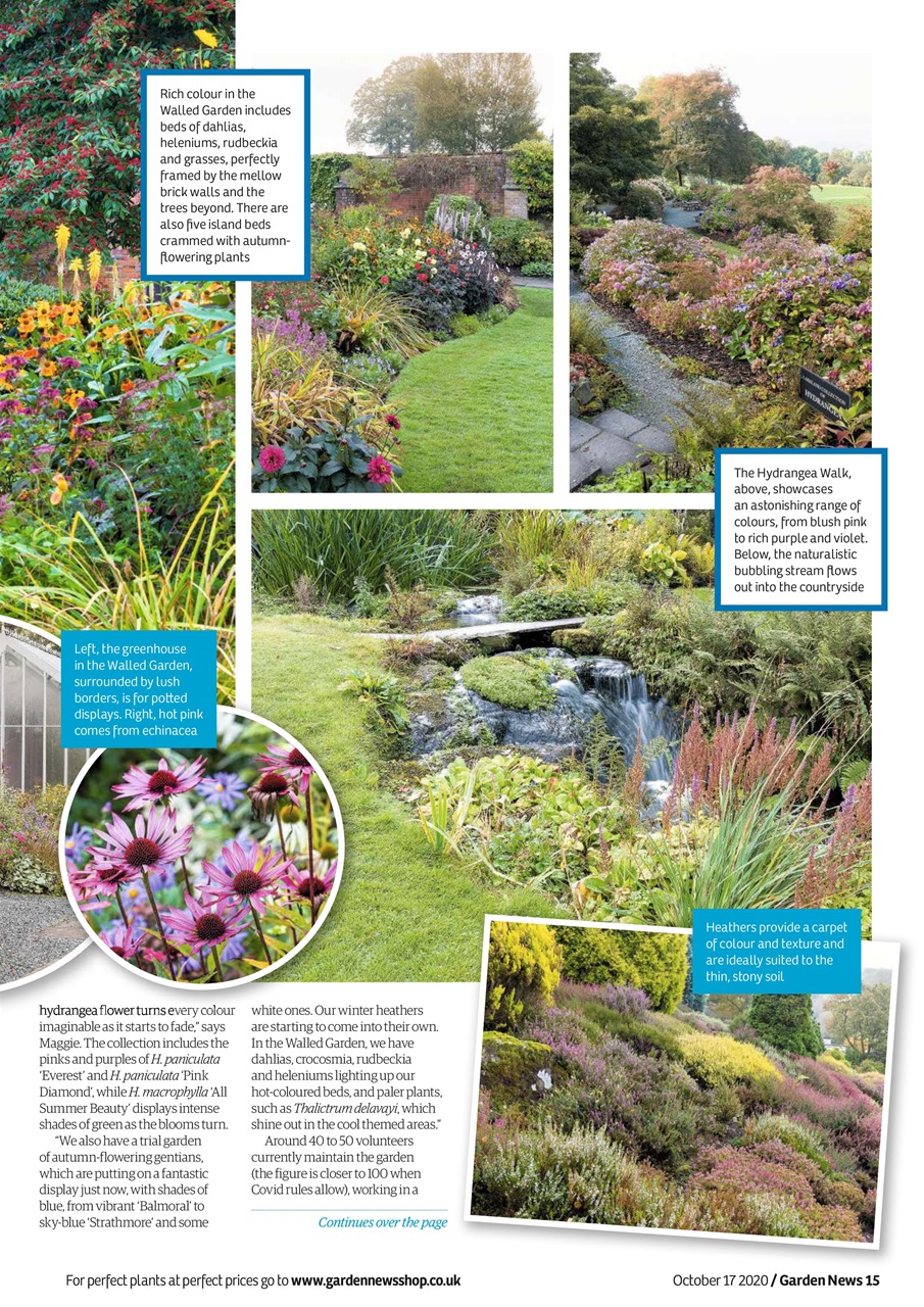 Garden News Preview Pages