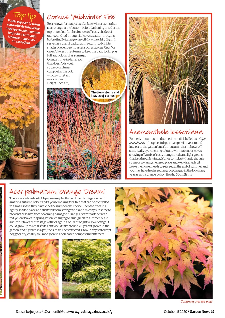Garden News Preview Pages