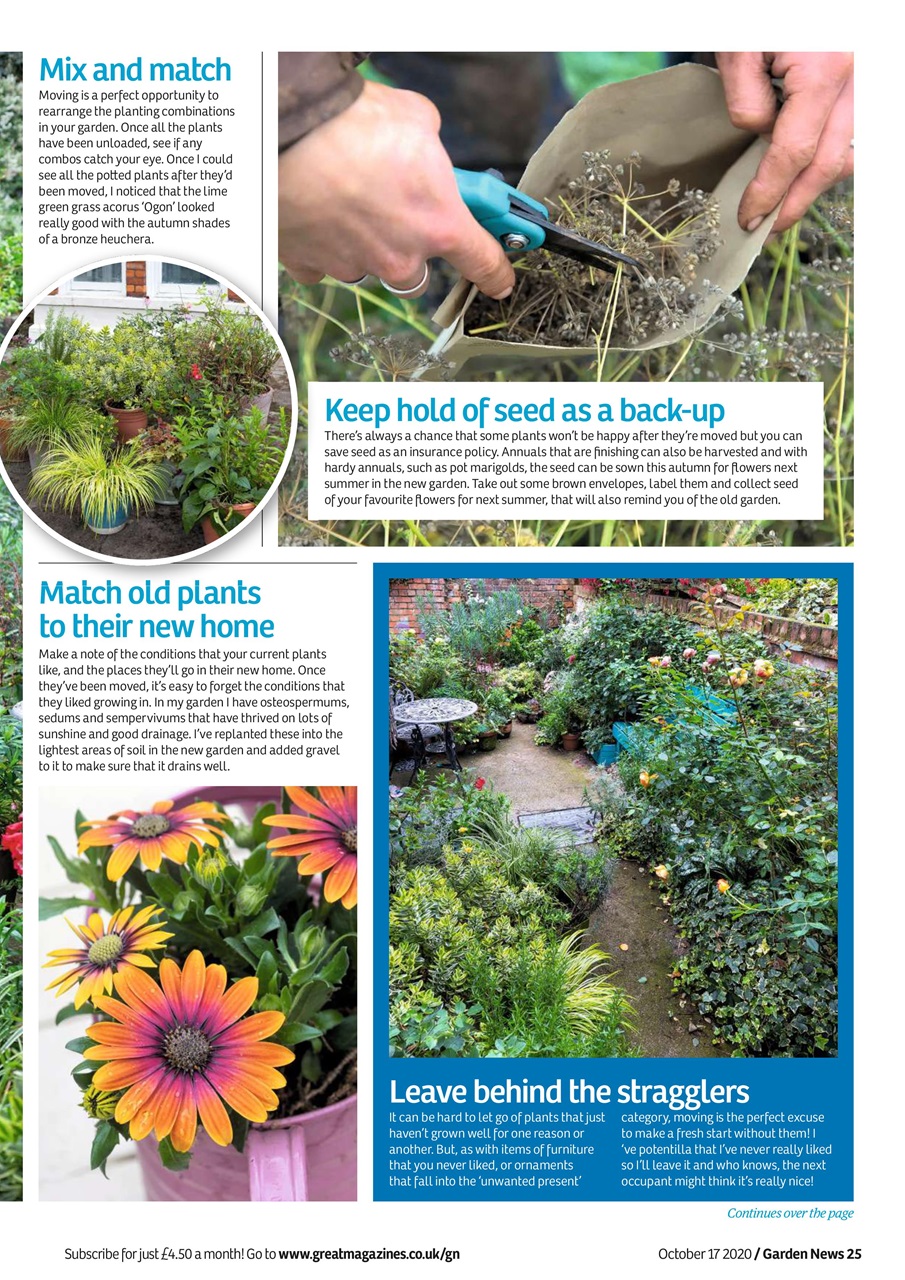Garden News Preview Pages