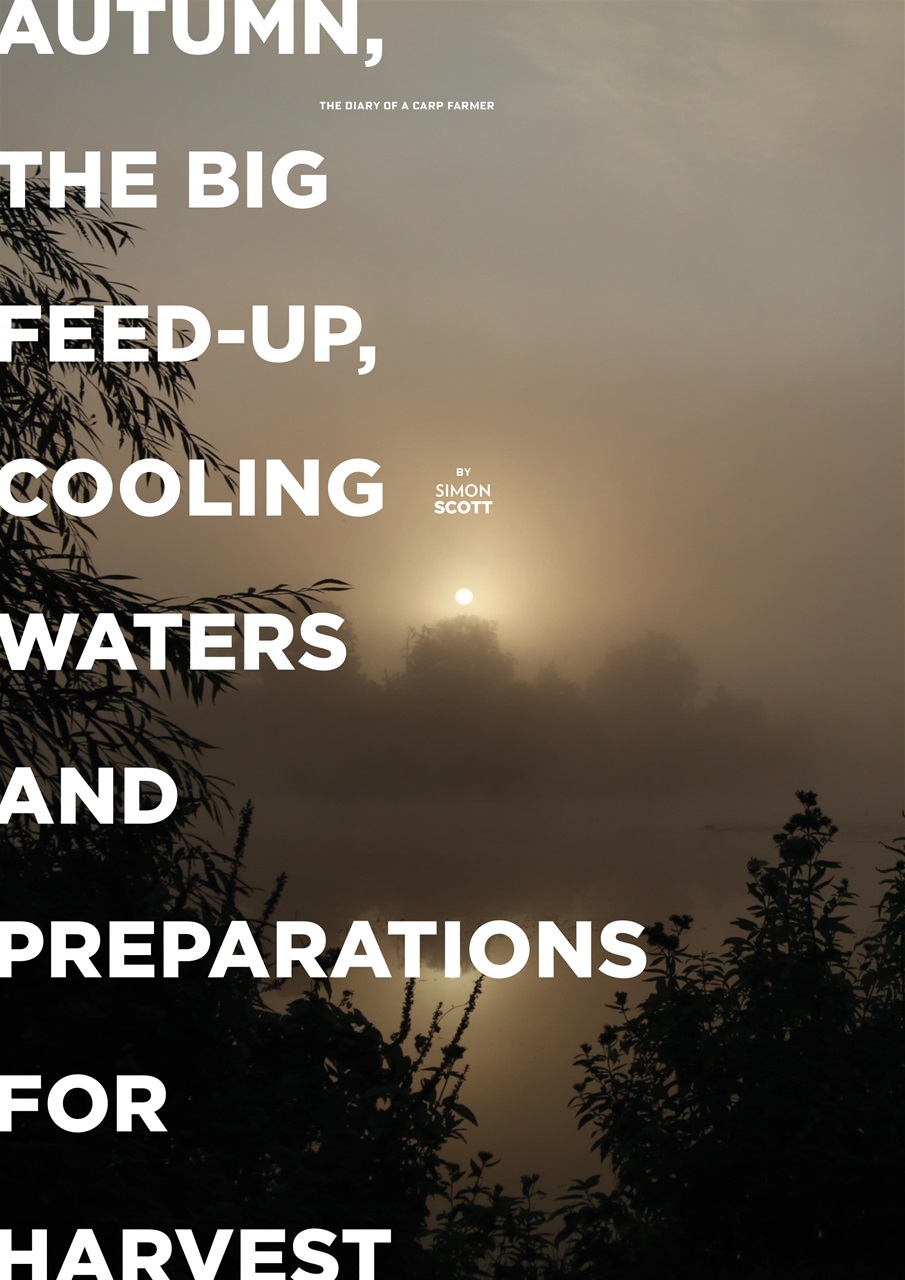 CARPology Magazine Preview Pages