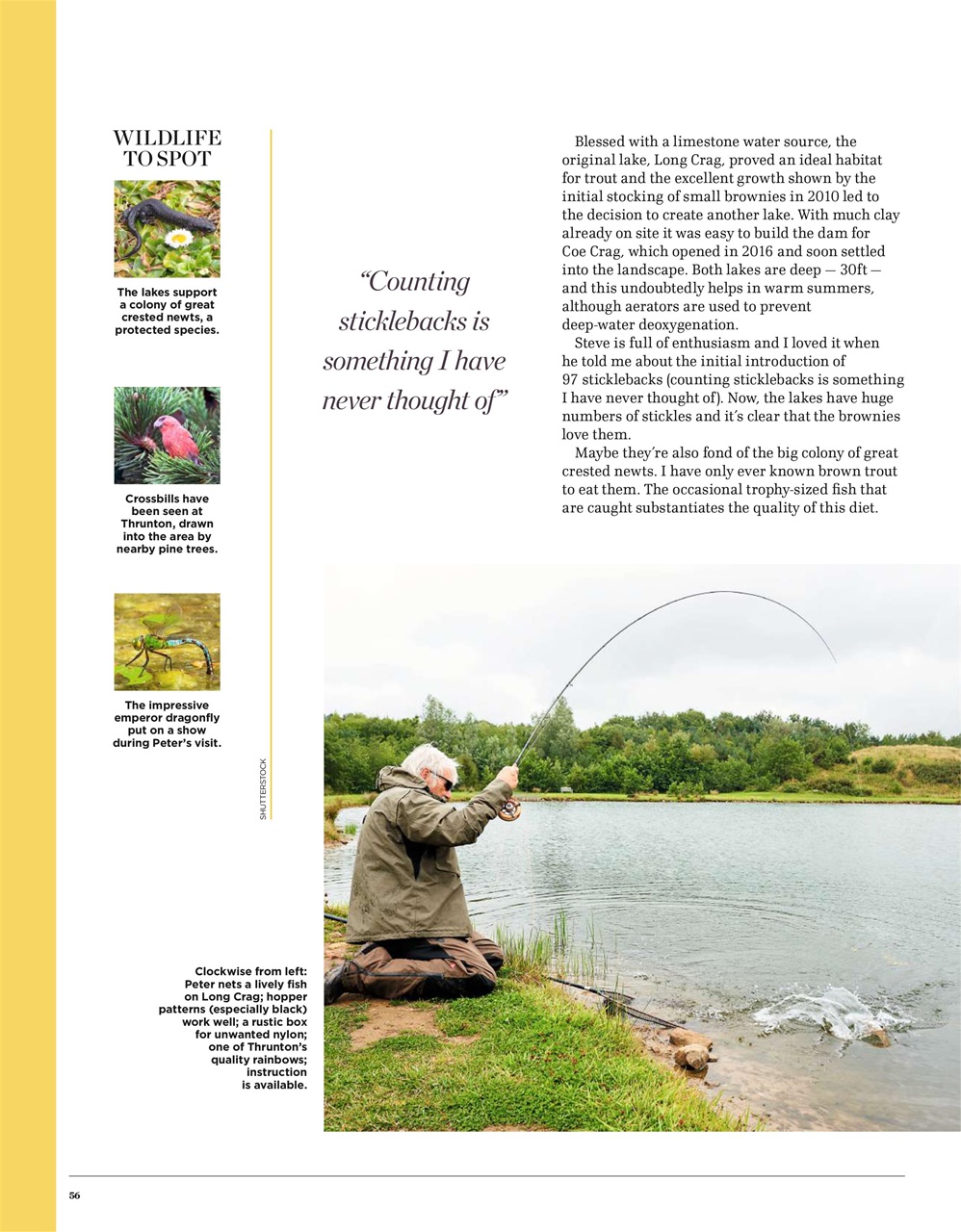 Trout & Salmon Preview Pages