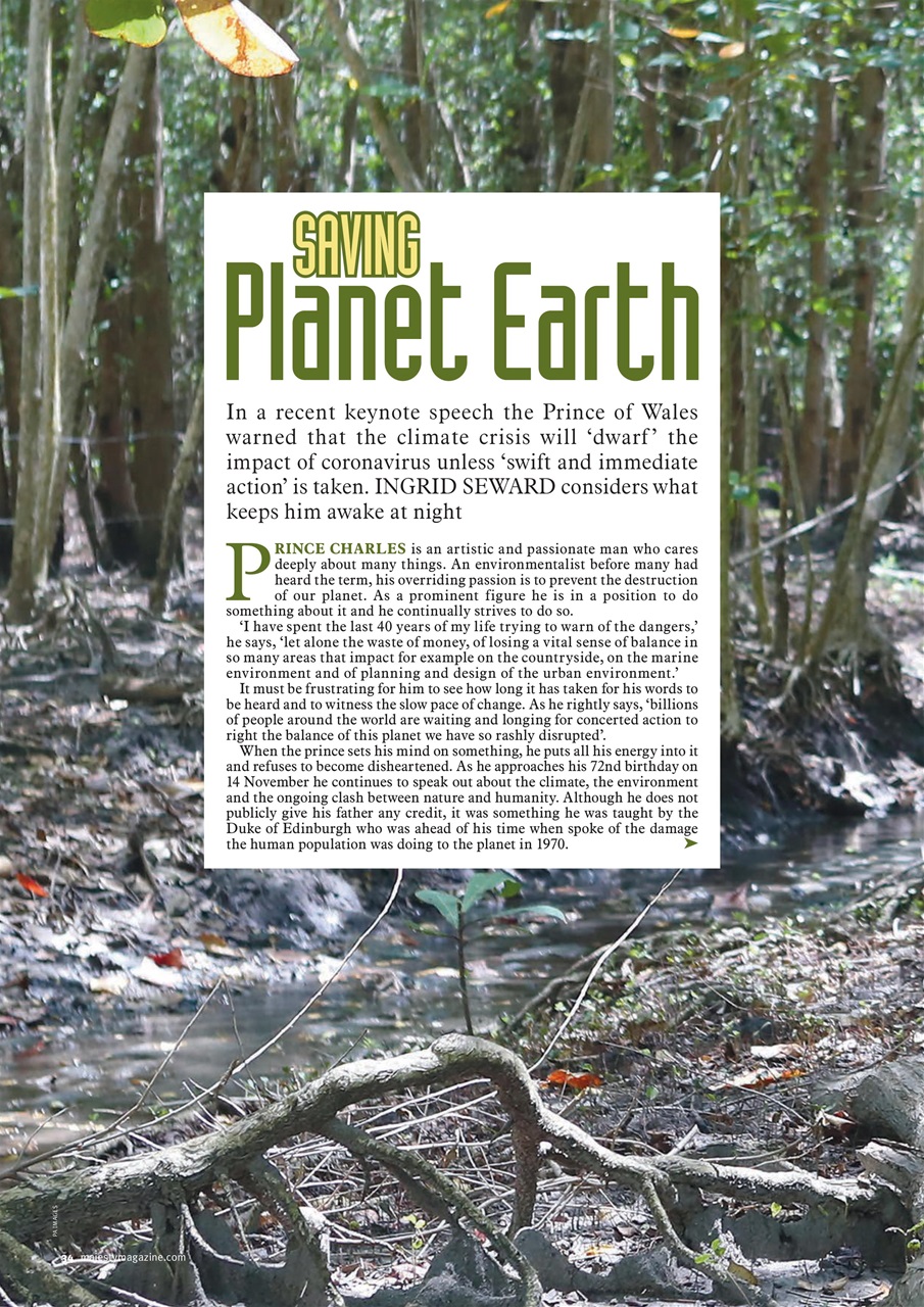 Majesty Magazine Preview Pages