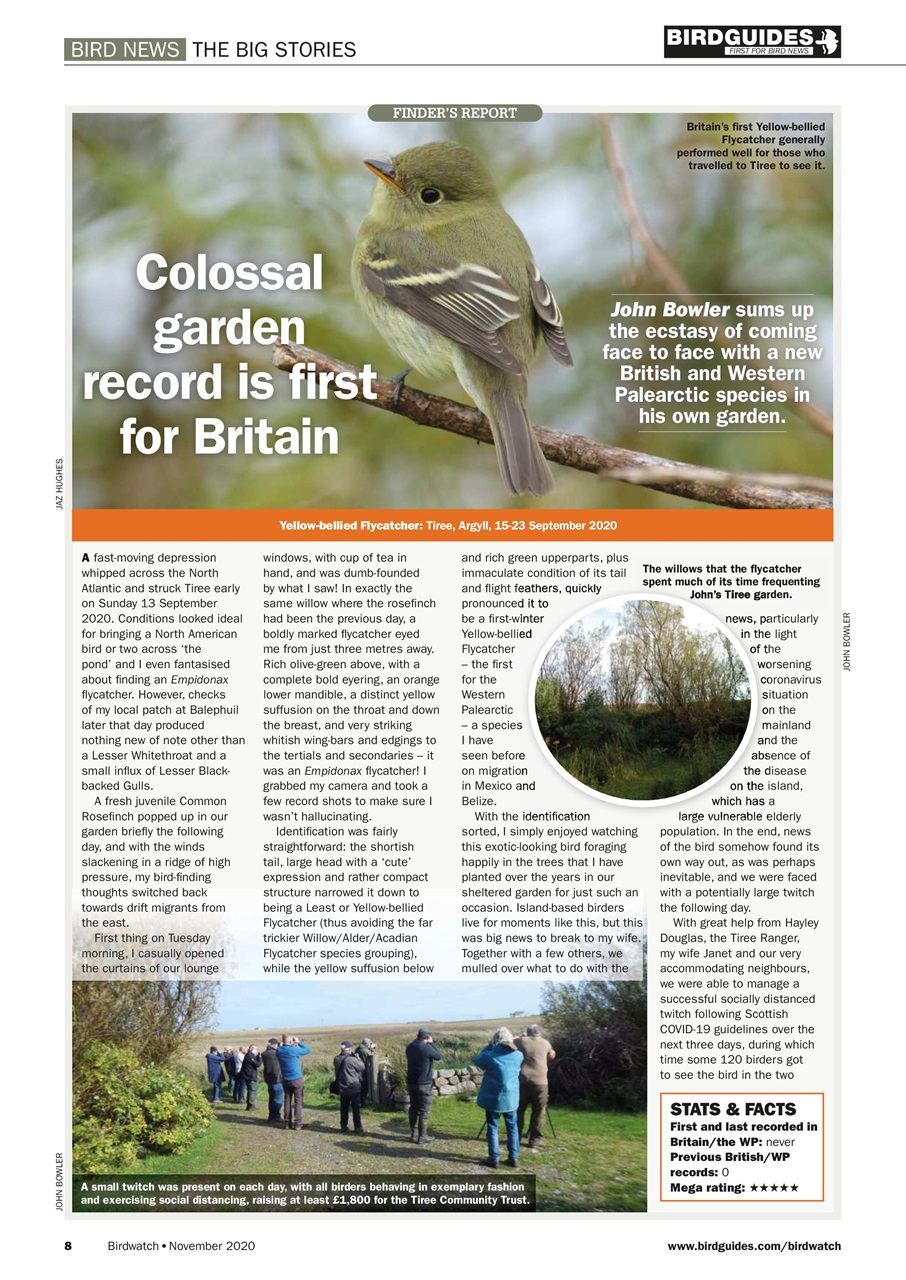 Birdwatch Magazine Preview Pages