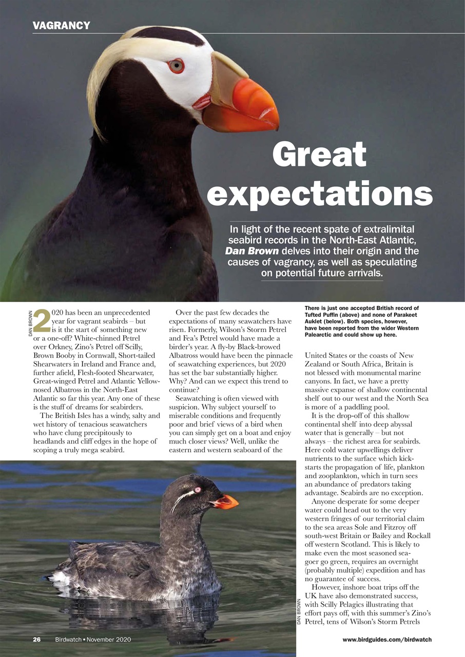 Birdwatch Magazine Preview Pages