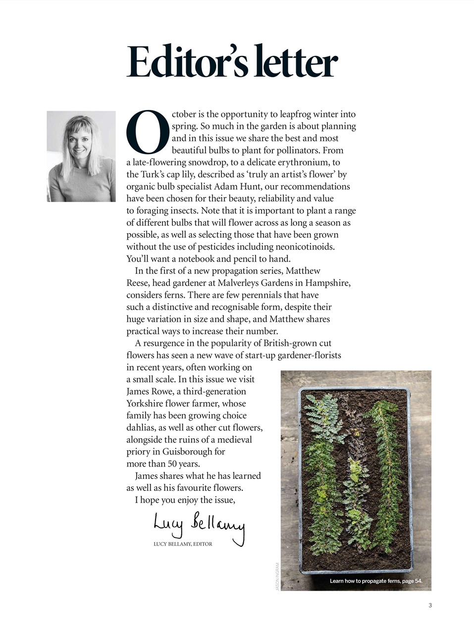 Gardens Illustrated Preview Pages