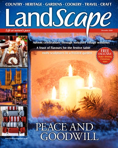 LandScape issue December 2020