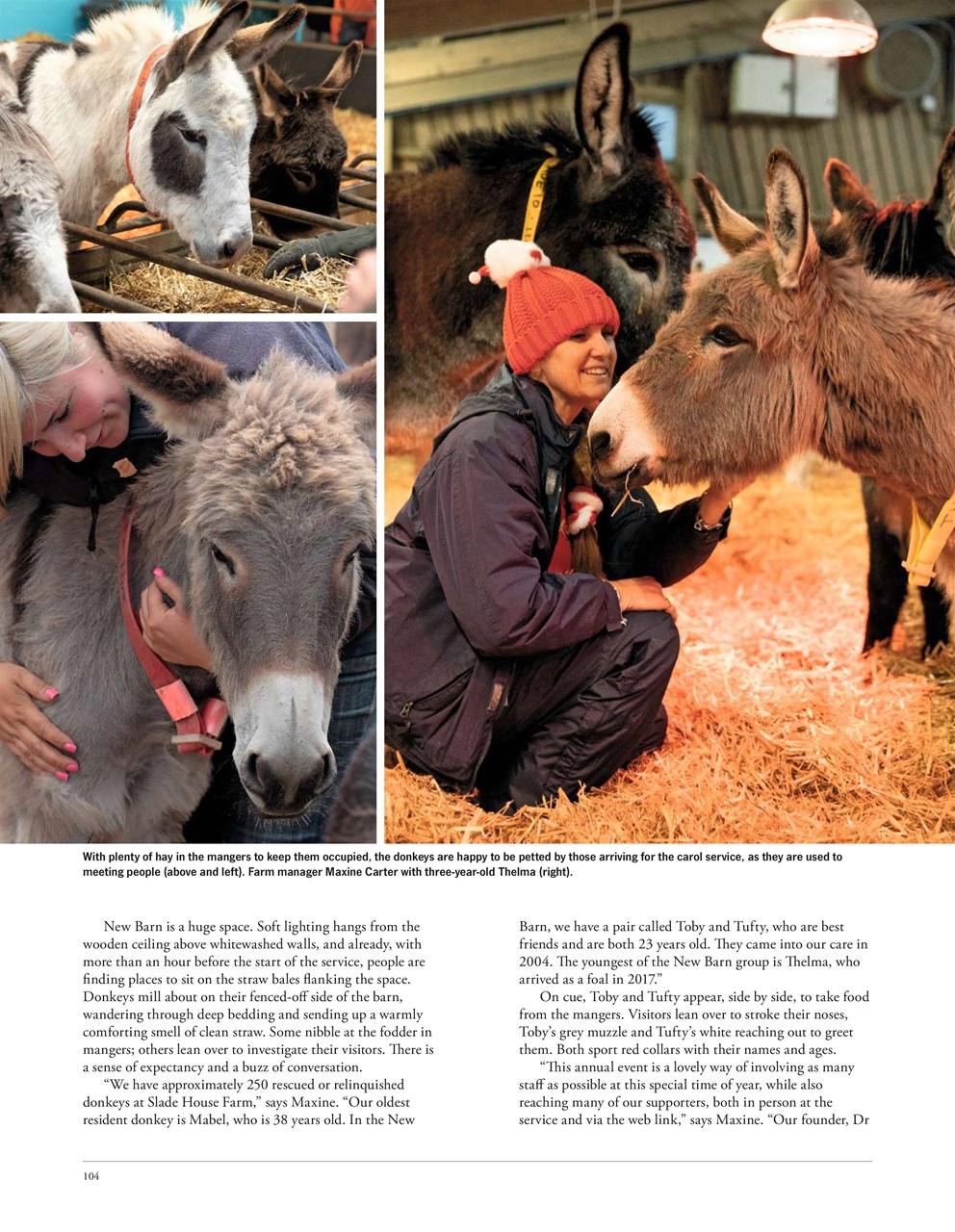 LandScape Preview Pages