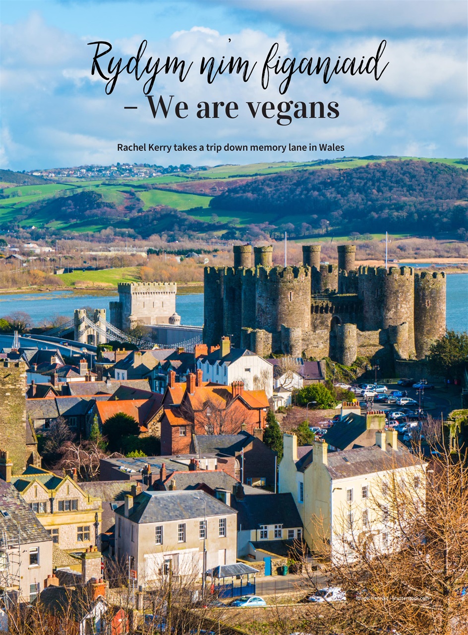 Vegan Life Preview Pages
