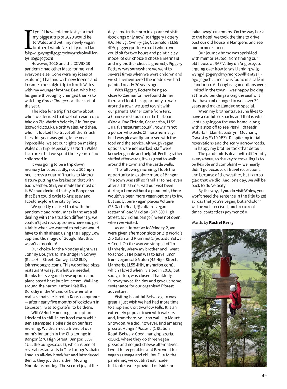 Vegan Life Preview Pages