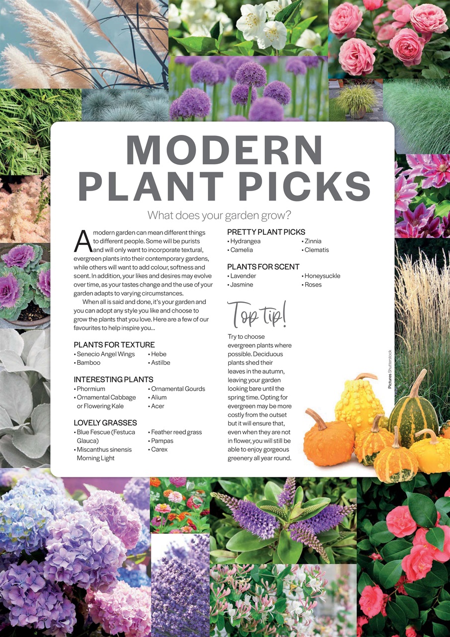 Simply Beautiful Gardens Preview Pages
