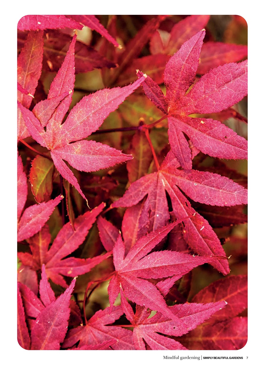 Simply Beautiful Gardens Preview Pages