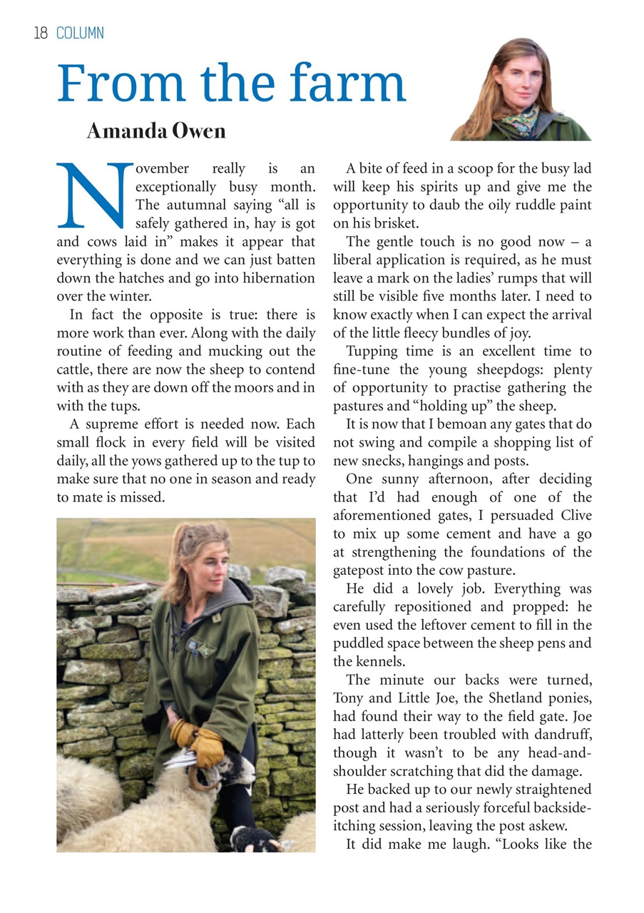 The Yorkshire Dalesman Preview Pages