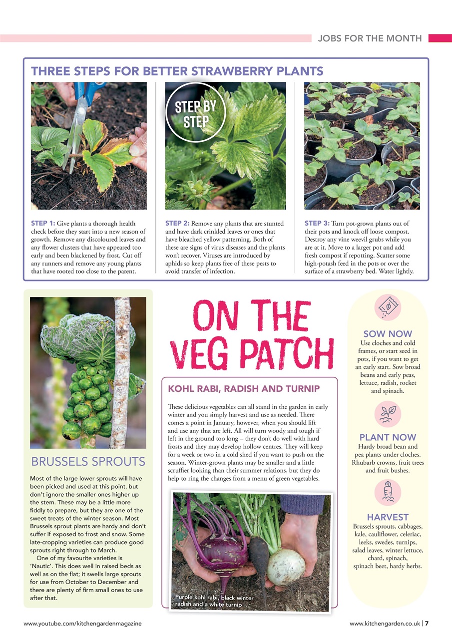 Kitchen Garden Magazine Preview Pages