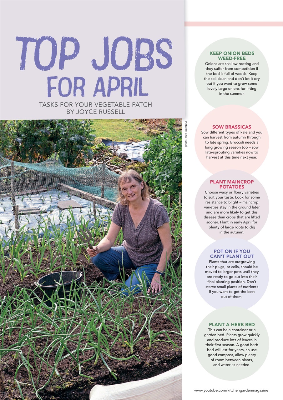Kitchen Garden Magazine Preview Pages