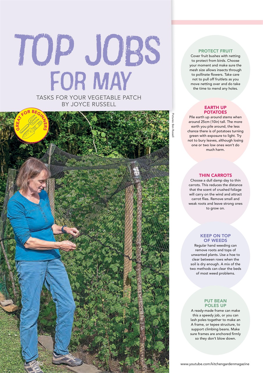 Kitchen Garden Magazine Preview Pages
