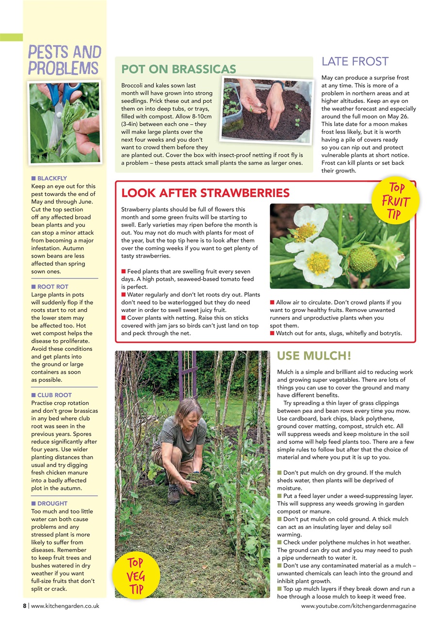 Kitchen Garden Magazine Preview Pages