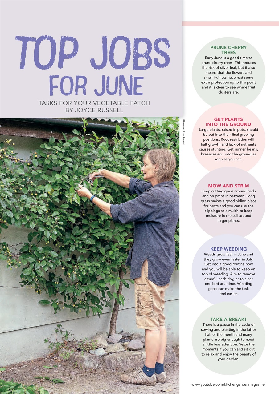 Kitchen Garden Magazine Preview Pages