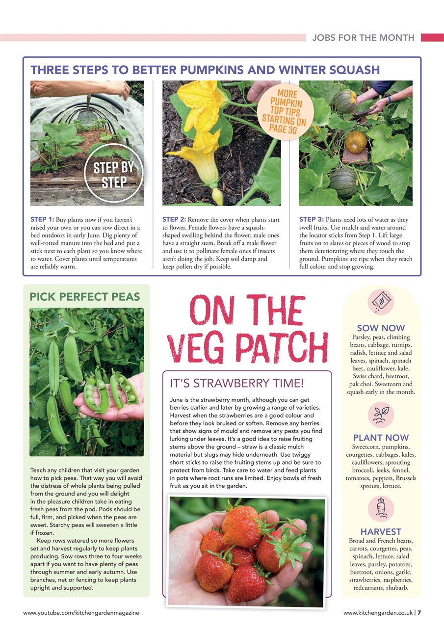 Kitchen Garden Magazine Preview Pages