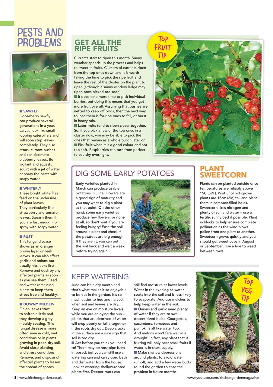 Kitchen Garden Magazine Preview Pages