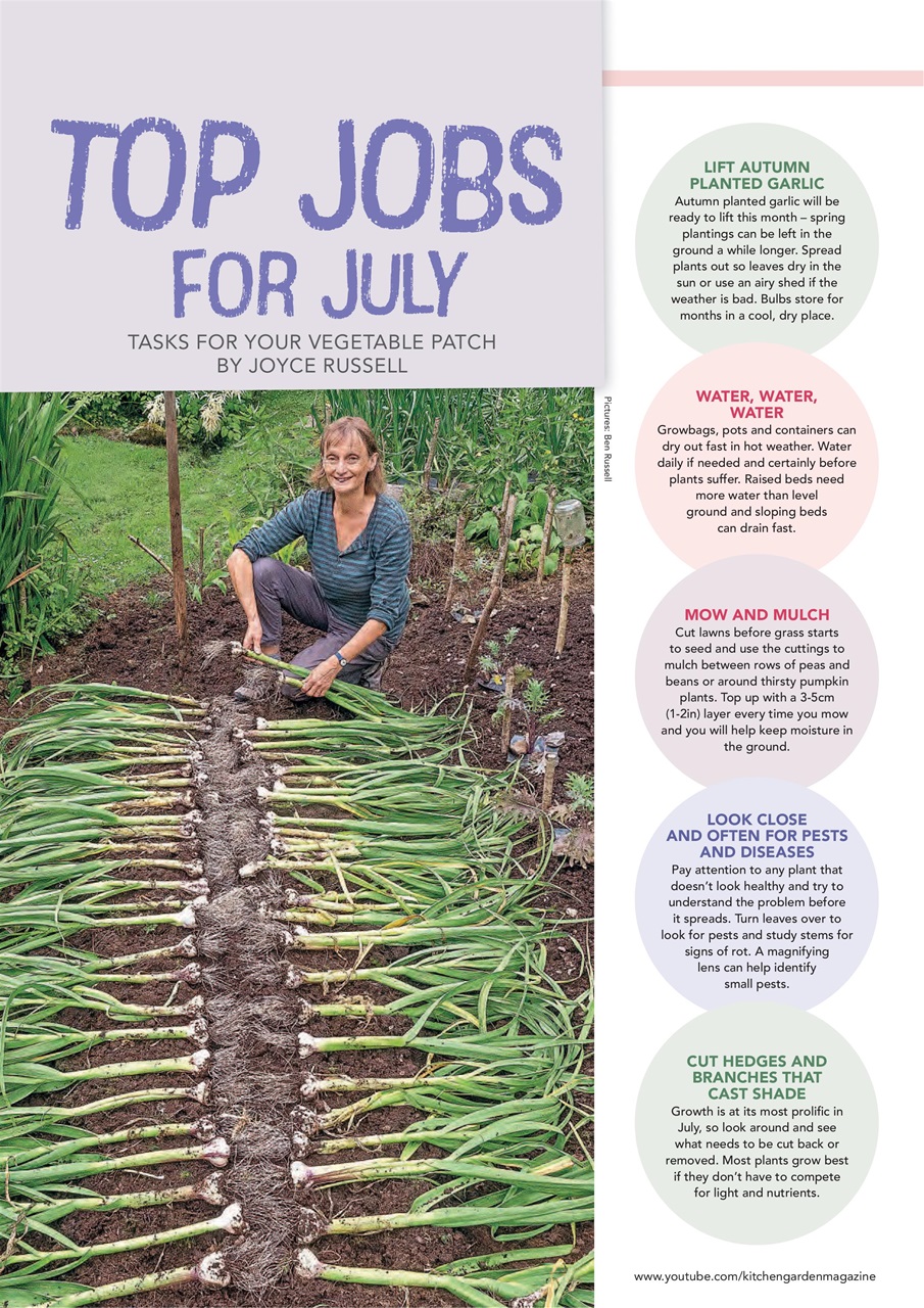 Kitchen Garden Magazine Preview Pages
