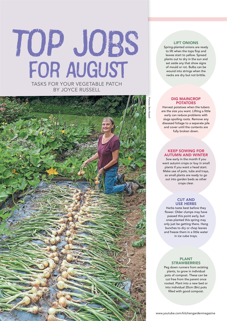 Kitchen Garden Magazine Preview Pages
