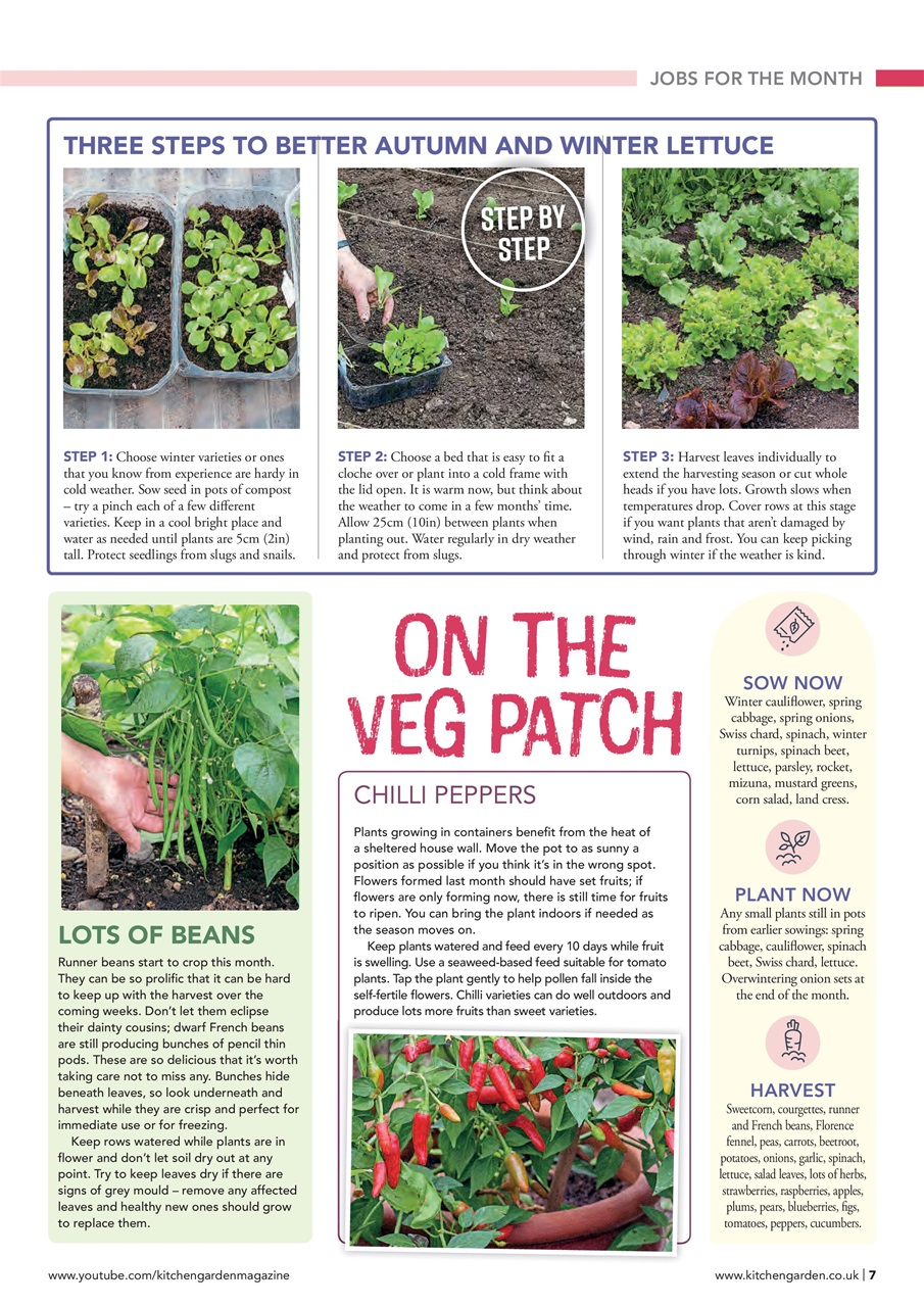 Kitchen Garden Magazine Preview Pages